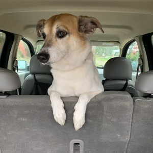 Fundraising Page: Lexi PAC ALUM